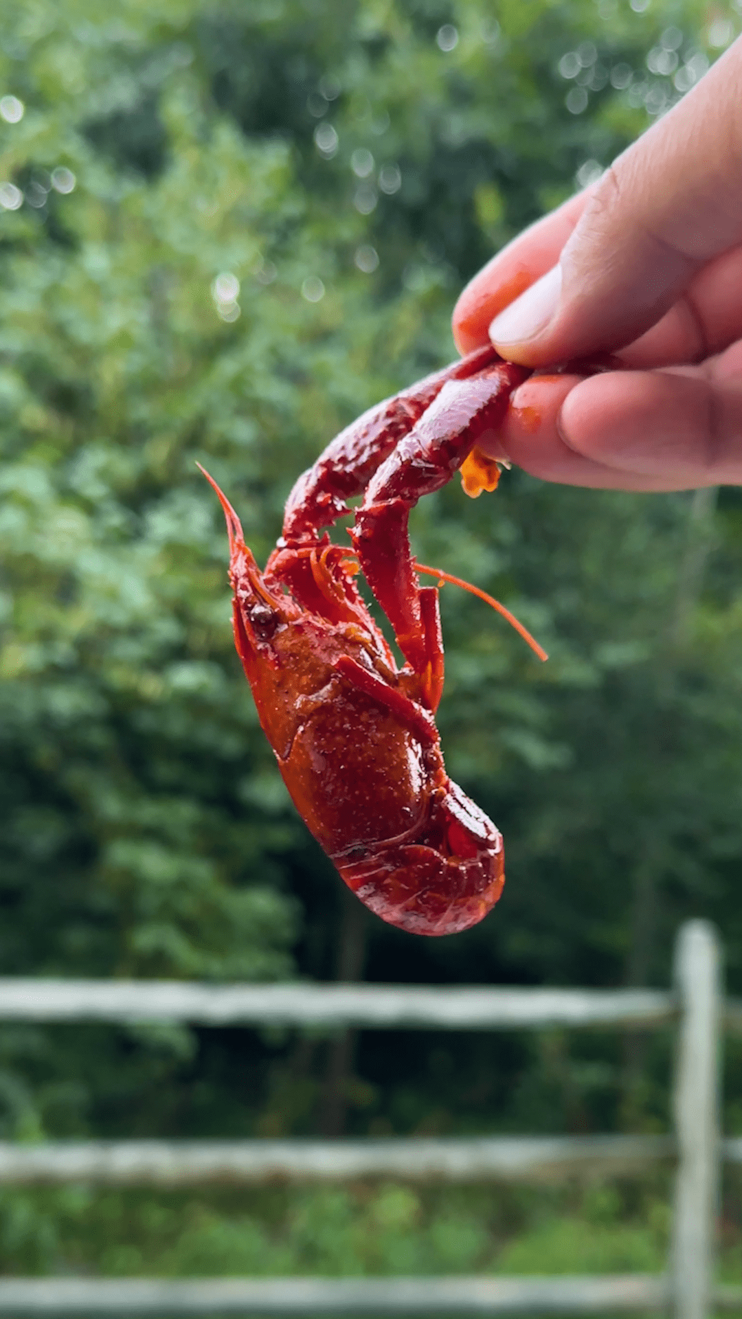 Sweet and Spicy Crawfish